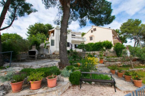 Apartment Snezana